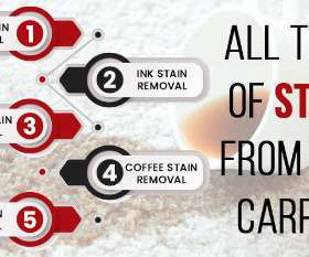 Carpet Cleaning Brisbane