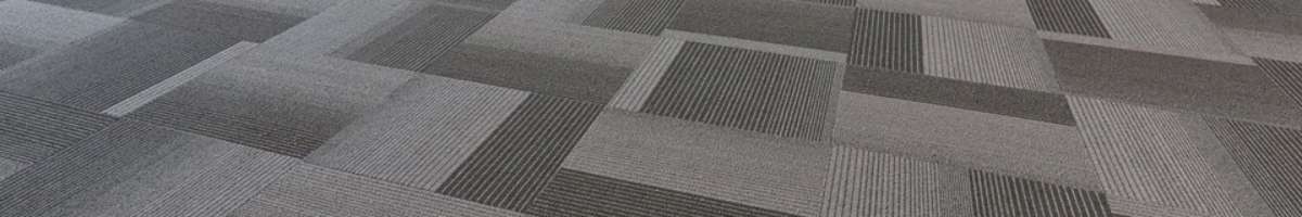 Professional Carpet Cleaning Toowoomba Banner