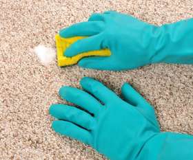 Carpet Cleaning Jordan Springs