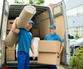 Removalists Pennington