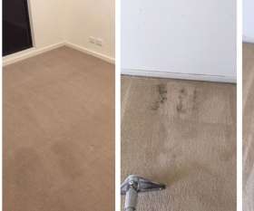 Best Carpet Cleaning Penrith