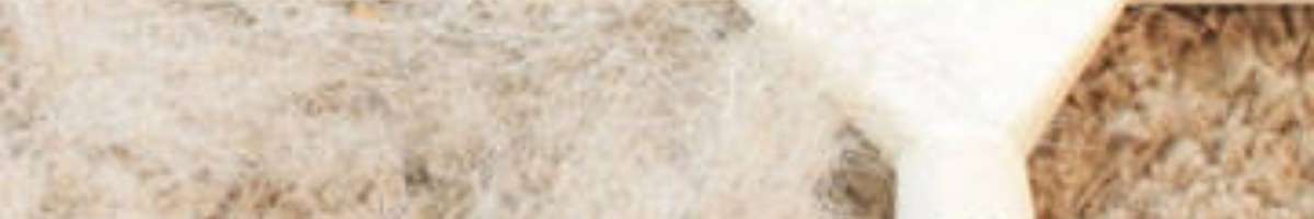 Carpet Cleaning Narre Warren Banner