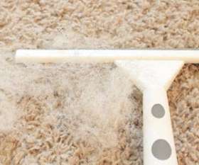 Carpet Cleaning Narre Warren