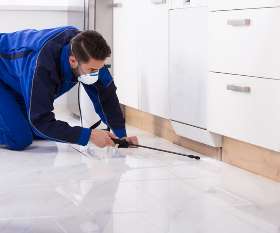 Pest Control Ballarat