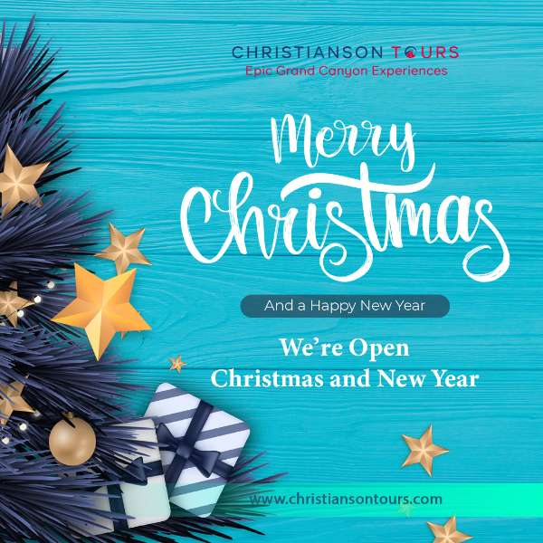 Merry Christmas and Happy New Year from Christianson Tours!