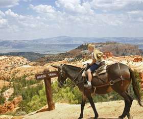Open Grand Canyon Tours 2021 from Las Vegas - Sweetours