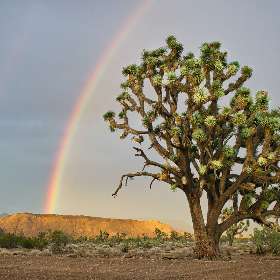 Best Grand Canyon Tours in Las Vegas | Christianson Tours