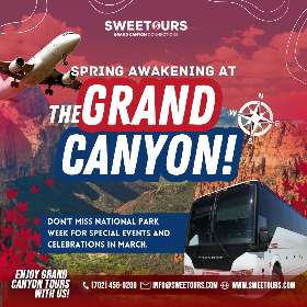 Spring Awakening at the Grand Canyon | Sweetours