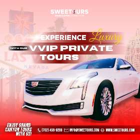 Experience Luxury with Our VVIP Private Tours