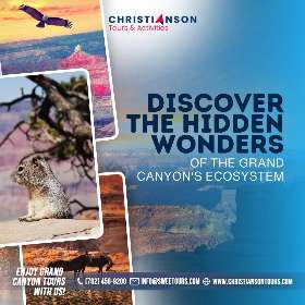 Discover the Hidden Wonders of the Grand Canyon's Ecosystem | Christianson Tours