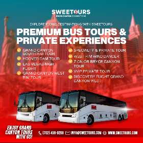 Premium Bus Tours & Private Experiences