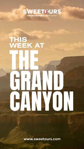 This Week at the Grand Canyon