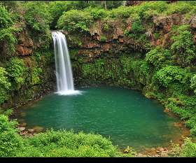 Waterfalls and lush greenery at Vasey’s Paradise oasis in the Grand Canyon
