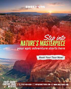 Sweetours National Park Tours