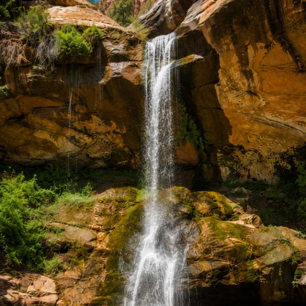 Emerald Pools Trails