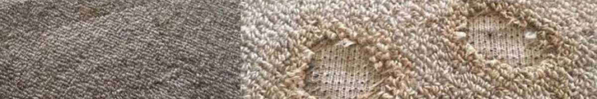 Carpet Repair Geelong Banner