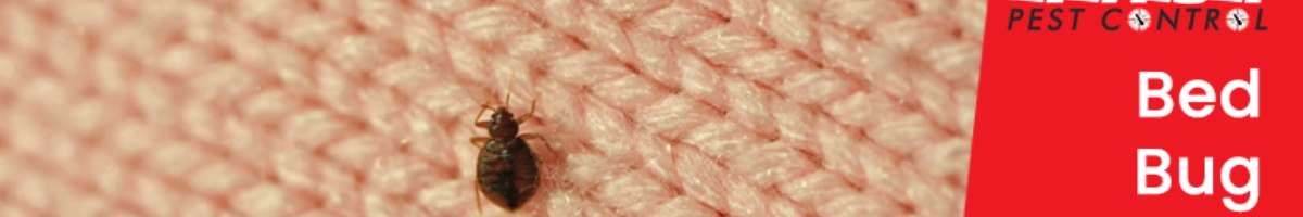 Pest Control Wollongong Banner