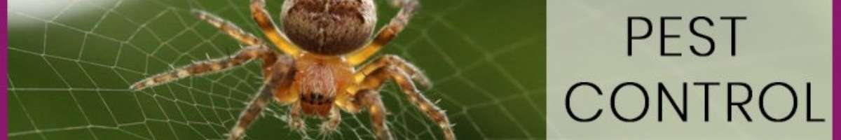 Impressive Pest Control Sunshine Coast Banner