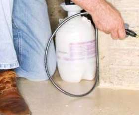Pest Control Canberra