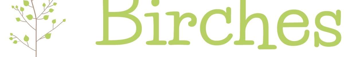 Birches Early Learning Centre Banner