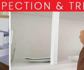 Pest Control Dandenong