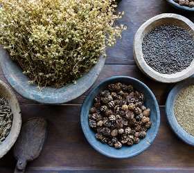 Ayurvedic Wellness Centre