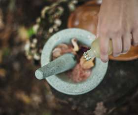 Ayurvedic Wellness Centre