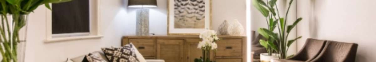 Botanica Day Spa Banner