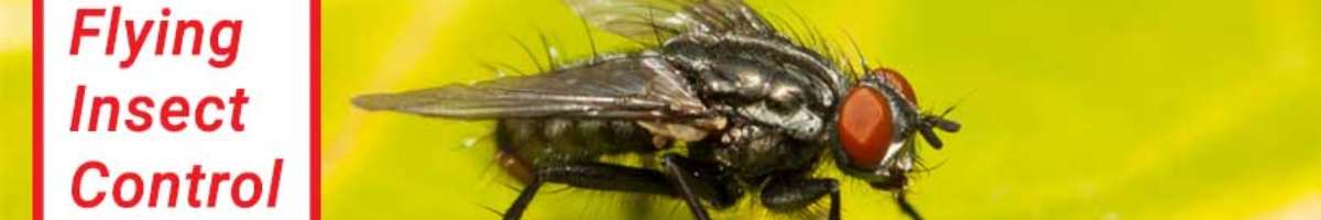 Pest Control Birkdale Banner