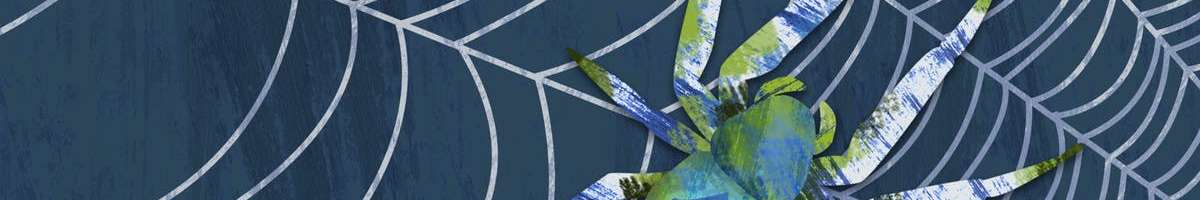 Spider Control Melbourne Banner