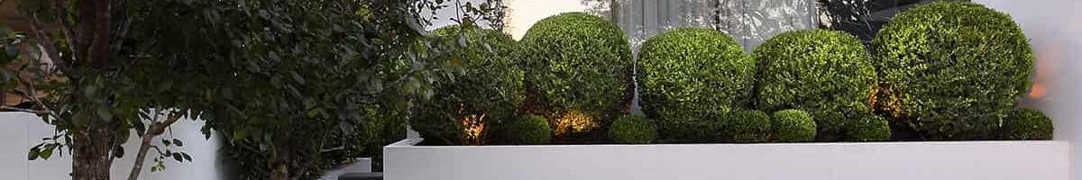 Eloquent Landscapes Banner