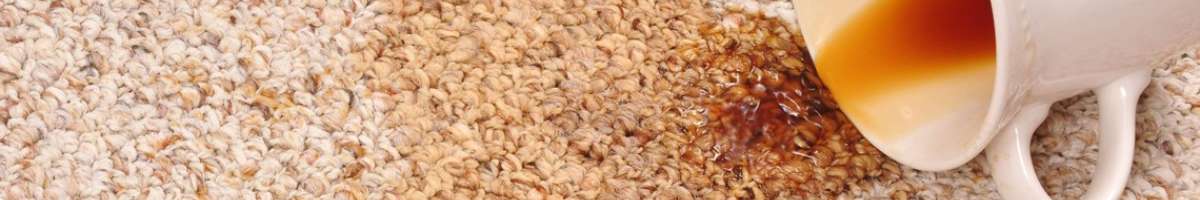 Carpet Steam Cleaning Brisbane Banner