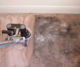 Carpet Steam Cleaning Brisbane
