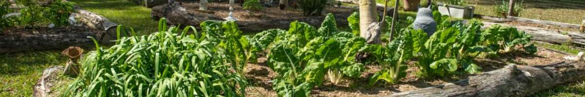 Wandha Myall Lakes Banner