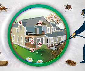 Pest Control Bell Park