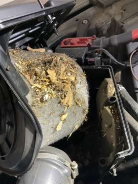 Car Check Melbourne - German Precision