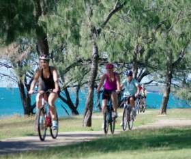 madcycologists.org.au