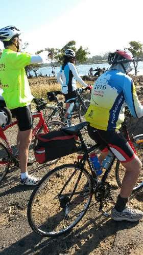 madcycologists.org.au