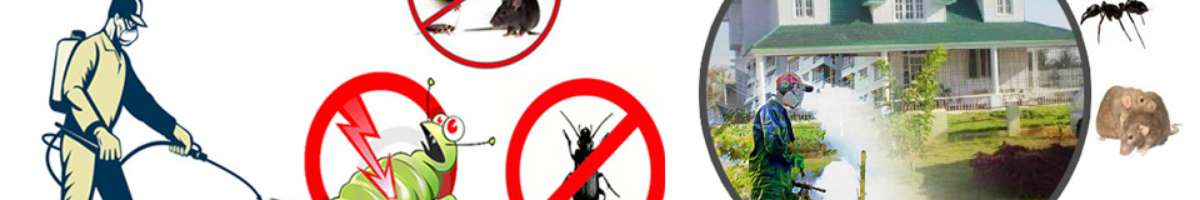 Pest Control Wynnum Banner