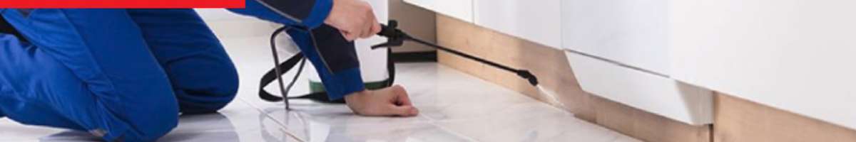 Pest Control North Toowoomba Banner