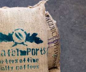Coffex Coffee Roasters