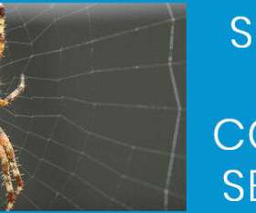 Pest Control Chapel Hill