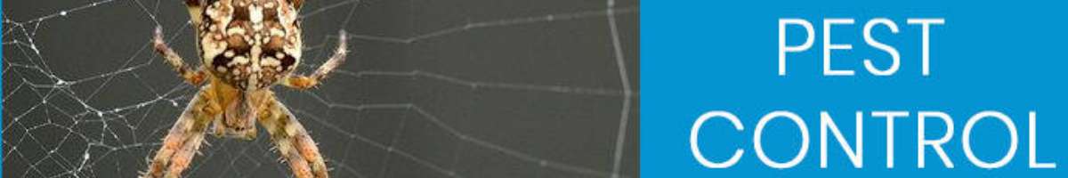 Pest Control Kenmore Banner