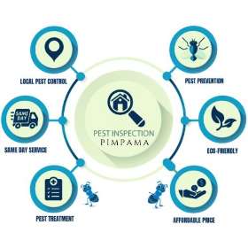 Pest Control Pimpama