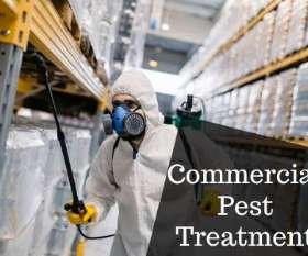Pest Control Pimpama