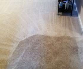 Carpet Cleaning Jimboomba