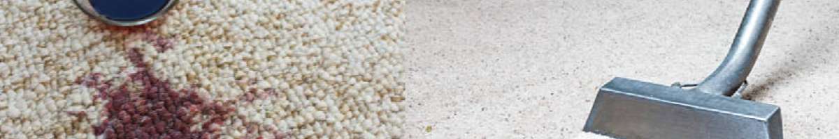 Carpet Cleaning Bendigo Banner