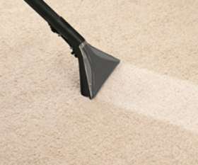 Carpet Cleaning Bendigo