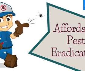 Pest Control Redland Bay