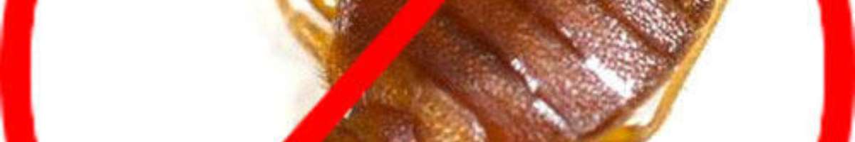 Pest Control Coorparoo Banner